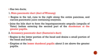  Has two ducts;
1. Main pancreatic duct (duct of Wirsung)
 Begins in the tail, runs to the right along the entire pancreas, and
carries pancreatic juice containing enzymes.
 Joins the bile duct to form the hepatopancreatic ampulla (ampulla of
Vater) before entering the second part of the duodenum at the
greater papilla.
2. Accessory pancreatic duct (Santorini's duct)
 Begins in the lower portion of the head and drains a small portion of
the head and body.
 Empties at the lesser duodenal papilla about 2 cm above the greater
papilla.
 