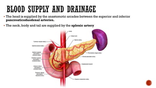 BLOOD SUPPLY AND DRAINAGE
 The head is supplied by the anastomotic arcades between the superior and inferior
pancreaticoduodenal arteries.
 The neck, body and tail are supplied by the splenic artery
 