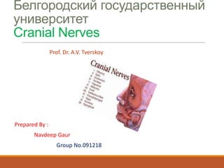 Белгородский государственный
университет
Cranial Nerves
Prof. Dr. A.V. Tverskoy

Prepared By :

Navdeep Gaur
Group No.091218

 