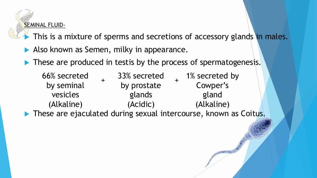 ACCESSORY MALE SEX GLANDS MALE REPRODUCTIVE SYSTEM PART 3