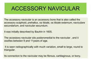 ACCESSORY NAVICULAR
The accessory navicular is an accessory bone that is also called the
accessory scaphoid, prehallux, os tibiale, os tibiale externum, naviculare
secundarium, and navicular secundum.
It was initially described by Bauhin in 1605.
The accessory navicular sits posteromedial to the navicular , and it
ossifies between 9 and 11years of age.
It is seen radiographically with much variation, small to large, round to
triangular.
Its connection to the navicular may be fibrous, cartilaginous, or bony.

 