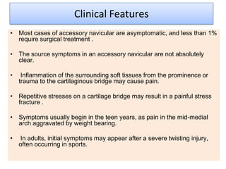 Clinical Features
• Most cases of accessory navicular are asymptomatic, and less than 1%
require surgical treatment .
• The source symptoms in an accessory navicular are not absolutely
clear.
•

Inflammation of the surrounding soft tissues from the prominence or
trauma to the cartilaginous bridge may cause pain.

• Repetitive stresses on a cartilage bridge may result in a painful stress
fracture .
• Symptoms usually begin in the teen years, as pain in the mid-medial
arch aggravated by weight bearing.
•

In adults, initial symptoms may appear after a severe twisting injury,
often occurring in sports.

 