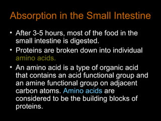 Absorption in the Small Intestine
• After 3-5 hours, most of the food in the
small intestine is digested.
• Proteins are broken down into individual
amino acids.
• An amino acid is a type of organic acid
that contains an acid functional group and
an amine functional group on adjacent
carbon atoms. Amino acids are
considered to be the building blocks of
proteins.
 