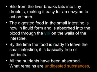 • Bile from the liver breaks fats into tiny
droplets, making it easy for an enzyme to
act on them.
• The digested food in the small intestine is
now in liquid form and is absorbed into the
blood through the villi on the walls of the
intestine.
• By the time the food is ready to leave the
small intestine, it is basically free of
nutrients.
• All the nutrients have been absorbed.
What remains are undigested substances.
 