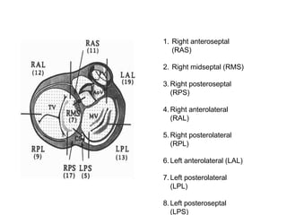 Lps Ras Coordinate ACCESSORY PATHWAY LOCALISATION.pptx