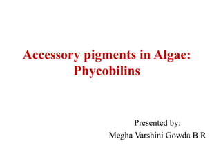 Accessory pigments in Algae:
Phycobilins
Presented by:
Megha Varshini Gowda B R
 