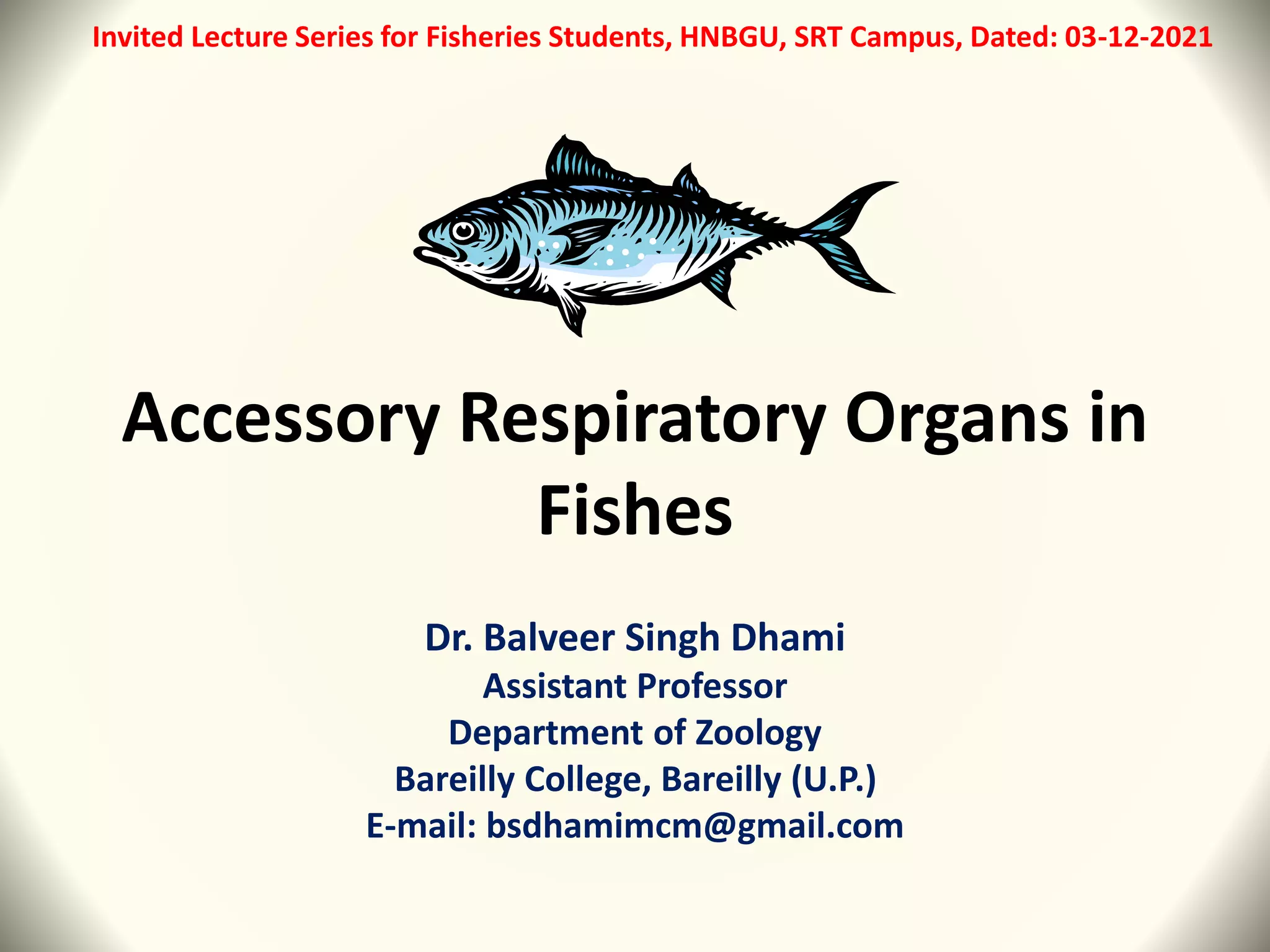 Accessory Respiratory organs in Fishes.pptx