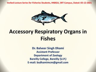 Accessory Respiratory Organs in
Fishes
Dr. Balveer Singh Dhami
Assistant Professor
Department of Zoology
Bareilly College, Bareilly (U.P.)
E-mail: bsdhamimcm@gmail.com
Invited Lecture Series for Fisheries Students, HNBGU, SRT Campus, Dated: 03-12-2021
 