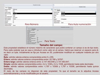Para Texto
Tamaño del campo:
Esta propiedad establece el número máximo de caracteres que podrá contener un campo si es de tipo texto.
Para cada carácter que se vaya a introducir como valor en el campo, habrá que reservar un espacio para él,
es decir un byte. Inicialmente se fija por Access en 50, pudiéndose modificar en cualquier instante por otro
valor.
Byte: admite valores enteros comprendidos entre 0 y 255.
Entero: admite valores enteros comprendidos entre -32.768 y 32767.
Entero largo: admite valores enteros entre -2.147.483.648 y 2.147.483.647.
Simple: admite valores comprendidos entre -3,4 x 1038 y 3.4 x 1038, permitiendo hasta siete decimales
Doble: admite valores comprendidos entre -1,797 x 10308 y 1,797 x 10308, permitiendo hasta quince
decimales.
El resto de los campos no disponen de esta propiedad. Ya que el tamaño se lo adjudica Access
automáticamente y no es modificable por el usuario.
Para Auto numeraciónPara Número
 