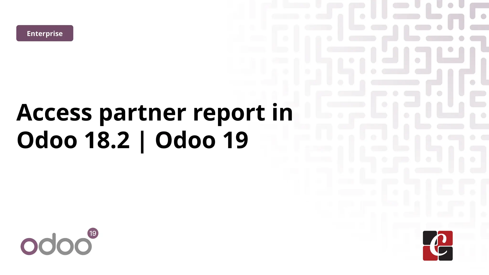 Access partner report in
Odoo 18.2 | Odoo 19
Enterprise
 