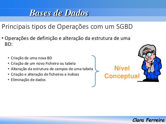Relatorio bases de dados
