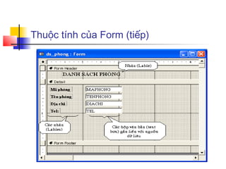 Thuộc tính của Form (tiếp)
 