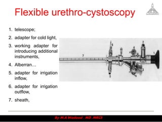 Access to urinary system v2 | PDF