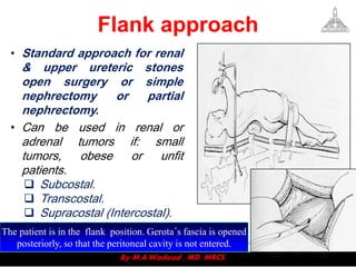 Access to urinary system v2 | PDF