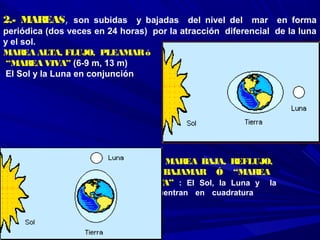 2.- MAREAS, son subidas y bajadas del nivel del mar en forma
periódica (dos veces en 24 horas) por la atracción diferencial de la luna
y el sol.
MAREA ALTA, FLUJO, PLEAMARó
“MAREA VIVA” (6-9 m, 13 m)
El Sol y la Luna en conjunción
MAREA BAJA, REFLUJO,
BAJAMAR Ó “MAREA
MUERTA” : El Sol, la Luna y la
Tierra se encuentran en cuadratura
 
