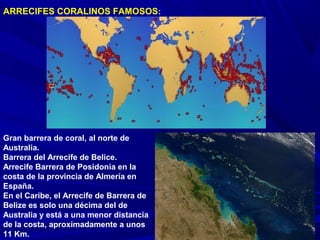ARRECIFES CORALINOS FAMOSOS:
Gran barrera de coral, al norte de
Australia.
Barrera del Arrecife de Belice.
Arrecife Barrera de Posidonia en la
costa de la provincia de Almería en
España.
En el Caribe, el Arrecife de Barrera de
Belize es solo una décima del de
Australia y está a una menor distancia
de la costa, aproximadamente a unos
11 Km.
 