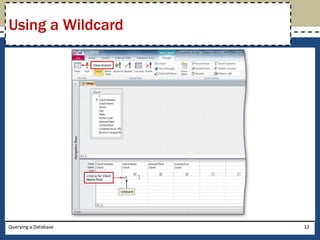 Using a Wildcard




Querying a Database   12
 