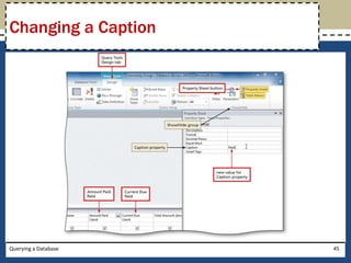 Changing a Caption




Querying a Database   45
 