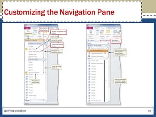 Customizing the Navigation Pane




Querying a Database               55
 