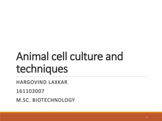 Animal cell culture and its techniques