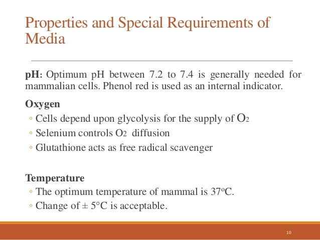 Animal cell culture and its techniques