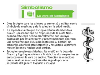 • Dios Esclepio para los griegos se comenzó a utilizar como
símbolo de medicina y de la salud en la edad media.
• La leyenda cuenta que Esclepio estaba atendiendo a
Glauco –pescador hijo de Neptuno y de la ninfa Nais–
cuando éste cayó herido mortalmente por un rayo
producido por los centauros y repentinamente apareció
una serpiente que Esculapio mató con su bastón; sin
embargo, apareció otra serpiente y resucitó a la primera
metiendo en su hocico unas yerbas.
• Esclepio recogió esas hierbas, las metió en la boca de
Glauco y logró que volviera a la vida. Las dos serpientes se
enroscaron en la vara de encino. También se menciona
que al realizar sus curaciones iba seguido por una
serpiente del género Elaphisa esculapii

 