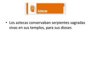 • Los aztecas conservaban serpientes sagradas
vivas en sus templos, para sus dioses

 