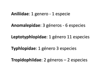 Aniliidae: 1 genero - 1 especie

Anomalepidae: 3 géneros - 6 especies
Leptotyphlopidae: 1 género 11 especies
Typhlopidae: 1 género 3 especies

Tropidophiidae: 2 géneros – 2 especies

 