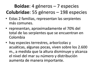 Boidae: 4 géneros – 7 especies
Colubridae: 55 géneros – 198 especies
• Estas 2 familias, representan las serpientes
más comunes.
• representan, aproximadamente el 70% del
total de las serpientes que se encuentran en
Colombia
• hay especies terrestres, arborícolas y
acuáticas, algunas pocas, viven sobre los 2.600
m., a medida que la altura disminuye y alcanza
el nivel del mar su número y distribución
aumenta de manera importante.

 