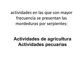 actividades en las que con mayor
frecuencia se presentan las
mordeduras por serpientes:
Actividades de agricultura
Actividades pecuarias

 