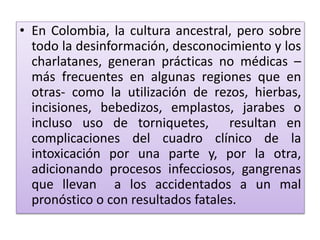 • En Colombia, la cultura ancestral, pero sobre
todo la desinformación, desconocimiento y los
charlatanes, generan prácticas no médicas –
más frecuentes en algunas regiones que en
otras- como la utilización de rezos, hierbas,
incisiones, bebedizos, emplastos, jarabes o
incluso uso de torniquetes, resultan en
complicaciones del cuadro clínico de la
intoxicación por una parte y, por la otra,
adicionando procesos infecciosos, gangrenas
que llevan a los accidentados a un mal
pronóstico o con resultados fatales.

 