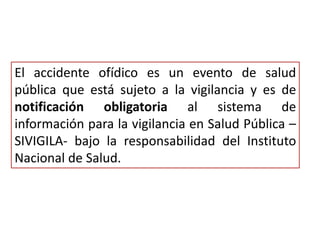 El accidente ofídico es un evento de salud
pública que está sujeto a la vigilancia y es de
notificación obligatoria al sistema de
información para la vigilancia en Salud Pública –
SIVIGILA- bajo la responsabilidad del Instituto
Nacional de Salud.

 