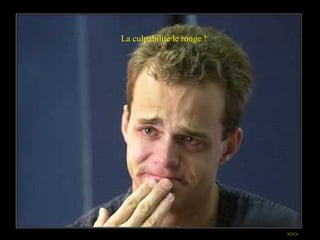 La culpabilité le ronge ! >>> 
