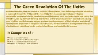 The Green Revolution Of The Sixties
Green Revolution refers to a series of research, development, and technology transfer initiatives,
occurring between the 1940s and the late 1960s that increased agriculture production
worldwide, particularly in the developing world beginning most markedly in the late 1960s. The
initiatives, led by Norman Borlaug, the "Father of the Green Revolution" credited with saving
over a billion people from starvation, involved the development of high-yielding varieties of
cereal grains, expansion of irrigation infrastructure, modernization of management techniques,
distribution of hybridized seeds, synthetic fertilizers, and pesticides to farmers.
It Comprises of :-
Nature of Green Revolution
Causes or Importance of Green Revolution
Effects of Green Revolution on Income
Problems or demerits of Green Revolution
 