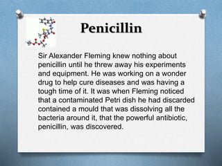 Penicillin 
Sir Alexander Fleming knew nothing about 
penicillin until he threw away his experiments 
and equipment. He was working on a wonder 
drug to help cure diseases and was having a 
tough time of it. It was when Fleming noticed 
that a contaminated Petri dish he had discarded 
contained a mould that was dissolving all the 
bacteria around it, that the powerful antibiotic, 
penicillin, was discovered. 
 