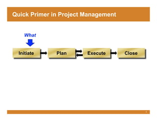 Project Management for the Accidental Project Manager | PDF