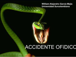 ACCIDENTE OFíDICO
William Alejandro García Mejía
Universidad Surcolombiana
 