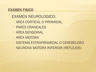  EXAMEN NEUROLOGICO:
 AREA CORTICAL O PIRAMIDAL
 PARES CRANEALES
 AREA SENSORIAL
 AREA MOTORA
 SISTEMA EXTRAPIRAMIDAL O CEREBELOSO
 NEURONA MOTORA INFERIOR (REFLEJOS)
 