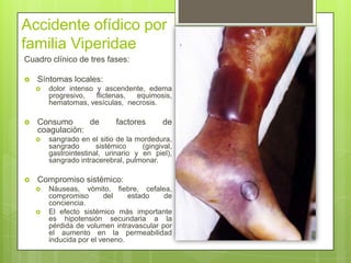 Accidente Crotálico
(Crotalus durissus -
Cascabel suramericana)
 Diagnostico:
 Se observan los orificios de entrada
de l...