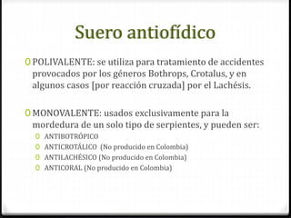 Suero antiofídico
0 POLIVALENTE: se utiliza para tratamiento de accidentes
provocados por los géneros Bothrops, Crotalus, y en
algunos casos [por reacción cruzada] por el Lachésis.
0 MONOVALENTE: usados exclusivamente para la
mordedura de un solo tipo de serpientes, y pueden ser:
0 ANTIBOTRÓPICO
0 ANTICROTÁLICO (No producido en Colombia)
0 ANTILACHÉSICO (No producido en Colombia)
0 ANTICORAL (No producido en Colombia)
 
