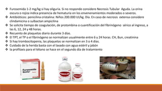  Furosemida 1-2 mg/kg si hay oliguria. Si no responde considere Necrosis Tubular Aguda. La orina
oscura o rojiza indica presencia de hematuria en los envenenamientos moderados o severos.
 Antibióticos: penicilina cristalina: Niños 200.000 UI/kg. Día. En caso de necrosis extensa considere
clindamicina o sulbactan ampicilina
 Se solicita tiempo de coagulación, de protombina o cuantificación del fibrinógeno sérico al ingreso, a
las 6, 12, 24 y 48 horas.
 Recuento de plaquetas diario durante 3 días.
 El TPT, el TP o el fibrinógeno se normalizan usualmente entre 6 y 24 horas. CH, Bun, creatinina
 Si hay trombocitopenia, las plaquetas se normalizan en 3 o 4 días.
 Cuidado de la herida basta con el lavado con agua estéril y jabón
 la profilaxis para el tétano se hace en el segundo día de tratamiento
 