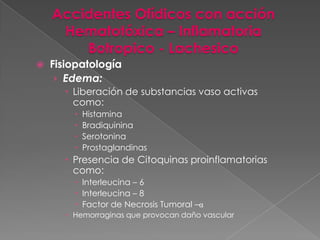 Accidentes Ofídicos con acción
Hematotóxica – Inflamatoria
Botropico - Lachesico


Fisiopatología
› Edema:
 Liberación de substancias vaso activas
como:





Histamina
Bradiquinina
Serotonina
Prostaglandinas

 Presencia de Citoquinas proinflamatorias
como:
 Interleucina – 6
 Interleucina – 8
 Factor de Necrosis Tumoral –α
 Hemorraginas que provocan daño vascular

 