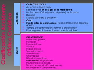 


MODERADO









SEVERO


















CARACTERISTICAS
Ausencia o ligero dolor
Edemas leves en el lugar de la mordedura,
Facies neurotóxica (ptosis palpebral), Anisocoria
Diplopía
Mialgia (discreta o ausente).
Orina:
Puede estar de color oscuro, Puede presentarse oliguria y
anuria.
Tiempo de coagulación: normal o prolongado.
Estado general: hemodinámicamente estable..
CARACTERISTICAS
Mal estado general,
Postración
Parestesia local,
Vómitos
Mialgia intensa
Sequedad bucal
Visión borrosa
Oftalmoplejía
Dificultad respiratoria.
Orina oscura, mioglobinuria,
Insuficiencia renal aguda.
Tiempo de coagulación: prolongado.
Estado general: comprometido.

 