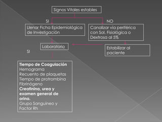 Signos Vitales estables
SI

Llenar Ficha Epidemiológica
de Investigación

SI

Laboratorio

Tiempo de Coagulación
Hemograma
Recuento de plaquetas
Tiempo de protrombina
Fibrinógeno
Creatinina, urea y
examen general de
orina.
Grupo Sanguíneo y
Factor Rh

NO
Canalizar vía periférica
con Sol. Fisiológica o
Dextrosa al 5%
Estabilizar al
paciente

 