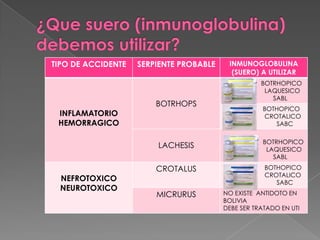 TIPO DE ACCIDENTE

INFLAMATORIO
HEMORRAGICO

SERPIENTE PROBABLE

BOTRHOPS

INMUNOGLOBULINA
(SUERO) A UTILIZAR
BOTRHOPICO
LAQUESICO
SABL
BOTHOPICO
CROTALICO
SABC

LACHESIS

NEFROTOXICO
NEUROTOXICO

BOTRHOPICO
LAQUESICO
SABL

CROTALUS

BOTHOPICO
CROTALICO
SABC

MICRURUS

NO EXISTE ANTIDOTO EN
BOLIVIA
DEBE SER TRATADO EN UTI

 