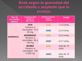 TIPO DE
ACCIDENTE
OFIDICO

DOSIS

INMUNOGLOBULINA
(SUERO)
A UTILIZAR

LEVE
Veneno a
neutralizar 10 a
50 mg
BOTROPICO

CLASIFICACIÓN
SEGÚN LA
GRAVEDAD

SABL

1 a 2 amp.

SABC

2 a 3 amp.

SABL

2 a 4 amp.

SABC

4 a 7 amp.

SABL

Más de 10
amp.

SABC

Más de 15
amp.

MODERADO
Veneno a
neutralizar 50 a
100 mg
SEVERO
Veneno a
neutralizar 100
a 250 mg

 
