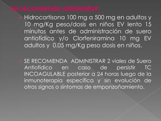 Se recomienda administrar
› Hidrocortisona 100 mg a 500 mg en adultos y

10 mg/Kg peso/dosis en niños EV lento 15
minutos antes de administración de suero
antiofídico y/o Clorfeniramina 10 mg EV
adultos y 0.05 mg/Kg peso dosis en niños.

› SE RECOMIENDA ADMINISTRAR 2 viales de Suero

Antiofídico
en
caso
de
persistir
TC
INCOAGULABLE posterior a 24 horas luego de la
inmunoterapia específica y sin evolución de
otros signos o síntomas de emponzoñamiento.

 