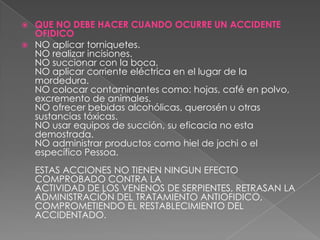 QUE NO DEBE HACER CUANDO OCURRE UN ACCIDENTE
OFIDICO
 NO aplicar torniquetes.
NO realizar incisiones.
NO succionar con la boca.
NO aplicar corriente eléctrica en el lugar de la
mordedura.
NO colocar contaminantes como: hojas, café en polvo,
excremento de animales.
NO ofrecer bebidas alcohólicas, querosén u otras
sustancias tóxicas.
NO usar equipos de succión, su eficacia no esta
demostrada.
NO administrar productos como hiel de jochi o el
específico Pessoa.


ESTAS ACCIONES NO TIENEN NINGUN EFECTO
COMPROBADO CONTRA LA
ACTIVIDAD DE LOS VENENOS DE SERPIENTES, RETRASAN LA
ADMINISTRACIÓN DEL TRATAMIENTO ANTIOFIDICO,
COMPROMETIENDO EL RESTABLECIMIENTO DEL
ACCIDENTADO.

 