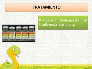 TRATAMIENTO
8. Intubación Orotraqueal si hay
insuficiencia respiratoria.
(con actividad
venenos de
serpientes de la subfamilia Crotalinae)
Disuelto en 300 ml de SSN. Infundir en
30 minutos
Leve: 4 ampollas de suero antiofídico.
Moderado: 6 a 8 ampollas de suero
antiofídico.
Grave: 10 a 12 ampollas de suero
antiofídico.
 