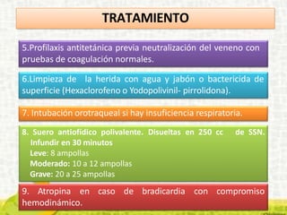 9. Atropina en caso de bradicardia con compromiso
hemodinámico.
5.Profilaxis antitetánica previa neutralización del veneno con
pruebas de coagulación normales.
6.Limpieza de la herida con agua y jabón o bactericida de
superficie (Hexaclorofeno o Yodopolivinil- pirrolidona).
7. Intubación orotraqueal si hay insuficiencia respiratoria.
de SSN.
8. Suero antiofídico polivalente. Disueltas en 250 cc
Infundir en 30 minutos
Leve: 8 ampollas
Moderado: 10 a 12 ampollas
Grave: 20 a 25 ampollas
TRATAMIENTO
 